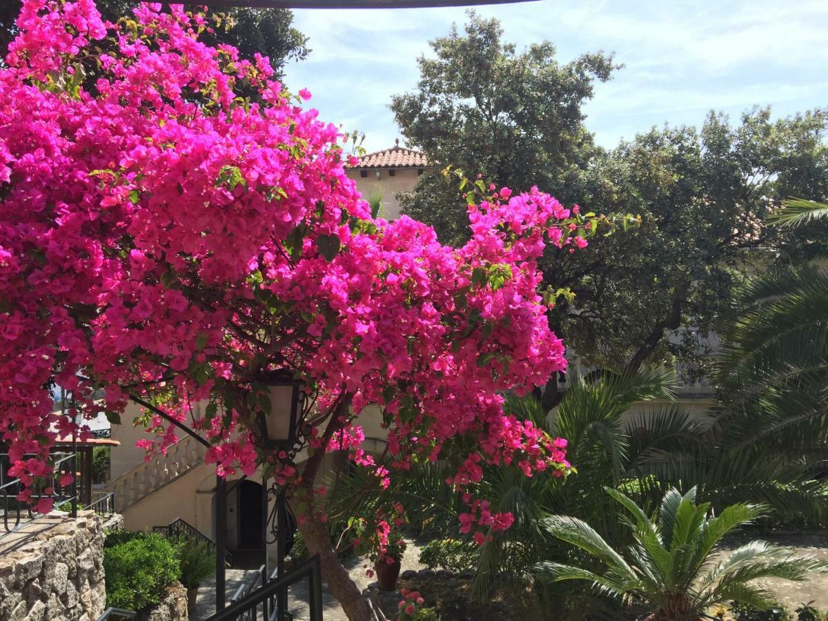 Villa Son Armadans Palma di Maiorca Esterno foto